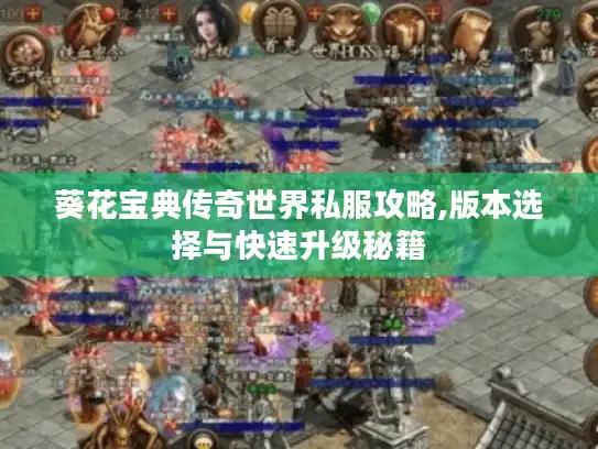 葵花宝典传奇世界私服攻略,版本选择与快速升级秘籍