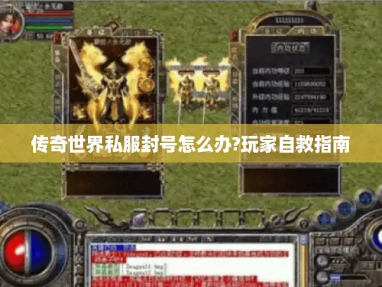 传奇世界私服封号怎么办?玩家自救指南 传奇世界私服封号怎么办?玩家自救指南