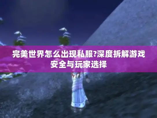 完美世界怎么出现私服?深度拆解游戏安全与玩家选择