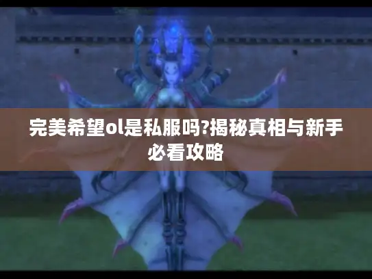 完美希望ol是私服吗?揭秘真相与新手必看攻略