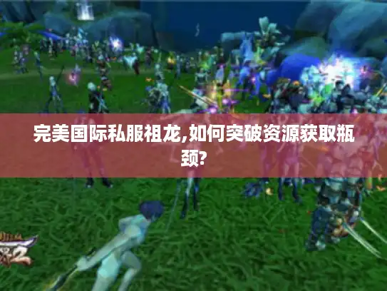 完美国际私服祖龙,如何突破资源获取瓶颈?