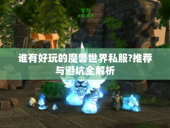 谁有好玩的魔兽世界私服?推荐与避坑全解析