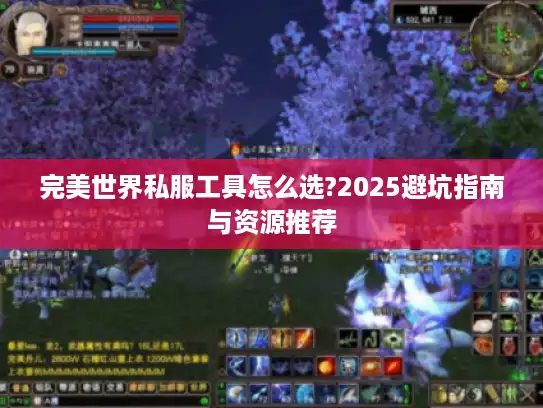 完美世界私服工具怎么选?2025避坑指南与资源推荐