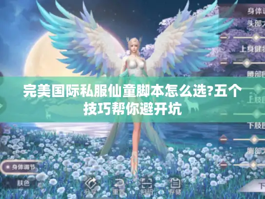 完美国际私服仙童脚本怎么选?五个技巧帮你避开坑