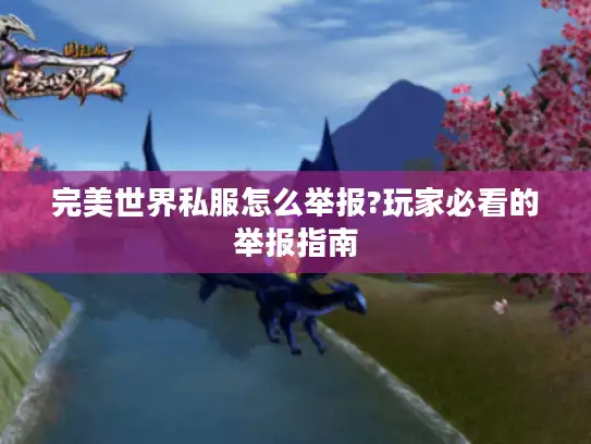 完美世界私服怎么举报?玩家必看的举报指南