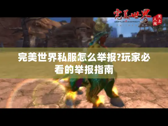 完美世界私服怎么举报?玩家必看的举报指南
