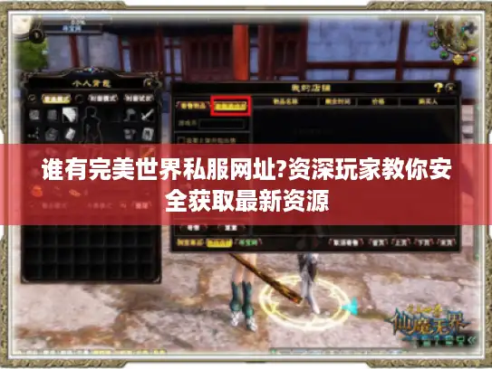 谁有完美世界私服网址?资深玩家教你安全获取最新资源
