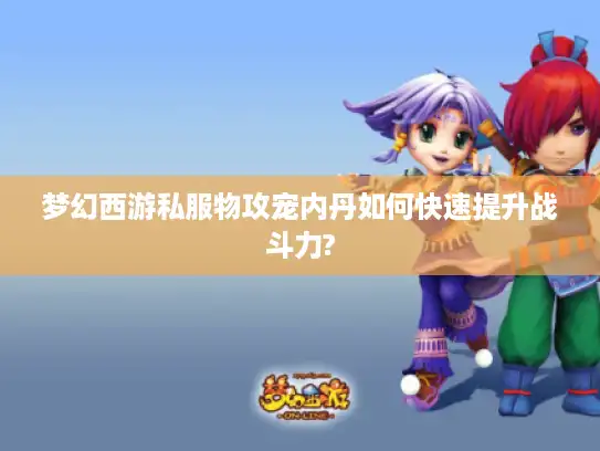梦幻西游私服物攻宠内丹如何快速提升战斗力?