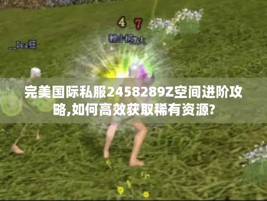 完美国际私服2458289Z空间进阶攻略,如何高效获取稀有资源?