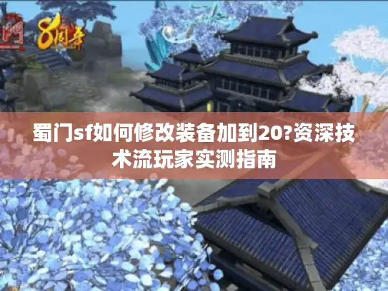 蜀门sf如何修改装备加到20?资深技术流玩家实测指南