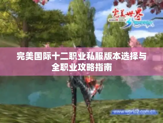 完美国际十二职业私服版本选择与全职业攻略指南