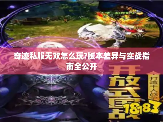 奇迹私服无双怎么玩?版本差异与实战指南全公开