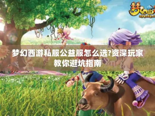 梦幻西游私服公益服怎么选?资深玩家教你避坑指南