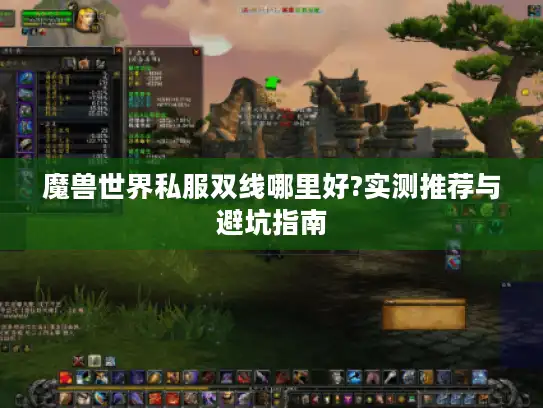 魔兽世界私服双线哪里好?实测推荐与避坑指南