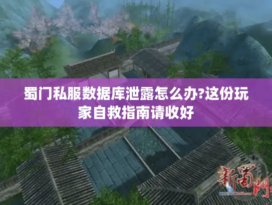 蜀门私服数据库泄露怎么办?这份玩家自救指南请收好