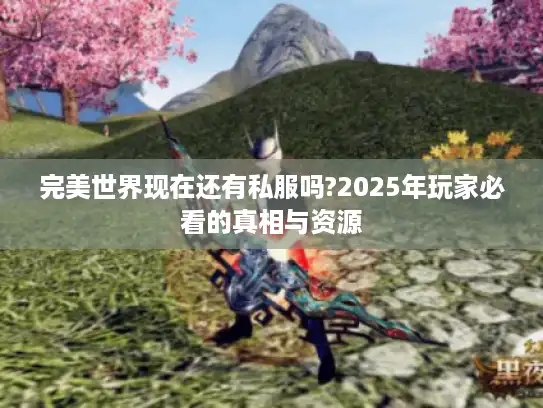 完美世界现在还有私服吗?2025年玩家必看的真相与资源