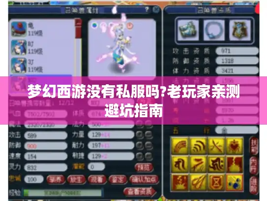 梦幻西游没有私服吗?老玩家亲测避坑指南