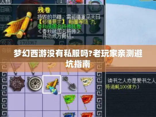 梦幻西游没有私服吗?老玩家亲测避坑指南