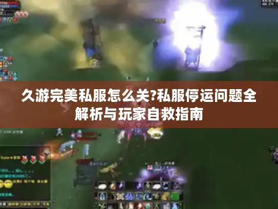久游完美私服怎么关?私服停运问题全解析与玩家自救指南