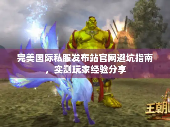 完美国际私服发布站官网避坑指南，实测玩家经验分享