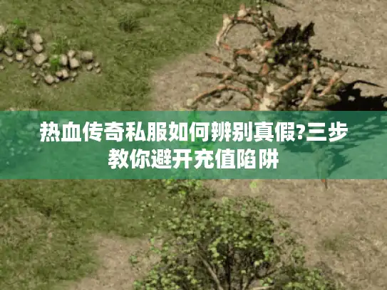 热血传奇私服如何辨别真假?三步教你避开充值陷阱