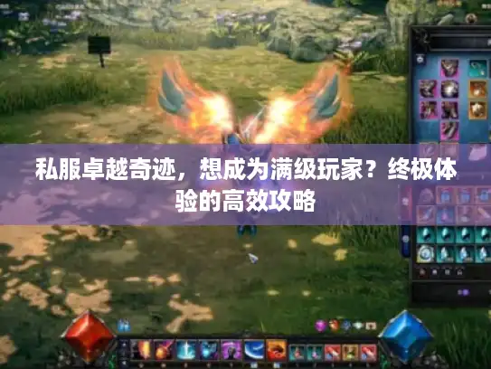 私服卓越奇迹，想成为满级玩家？终极体验的高效攻略