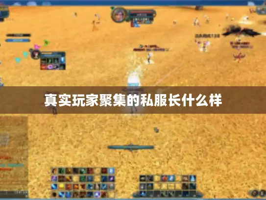 真实玩家聚集的私服长什么样