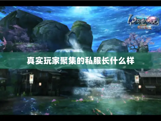 真实玩家聚集的私服长什么样