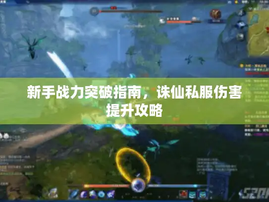 新手战力突破指南,诛仙私服伤害提升攻略 新手战力突破指南,诛仙私服伤害提升攻略