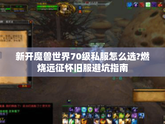 新开魔兽世界70级私服怎么选?燃烧远征怀旧服避坑指南