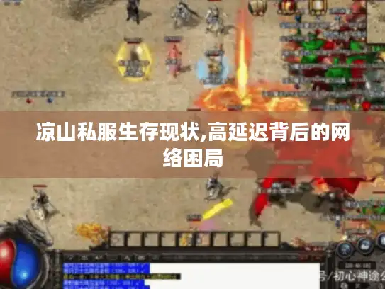 凉山私服生存现状,高延迟背后的网络困局