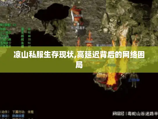 凉山私服生存现状,高延迟背后的网络困局