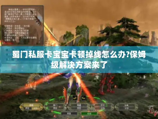 蜀门私服卡宝宝卡顿掉线怎么办?保姆级解决方案来了