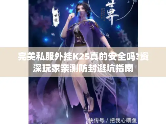 完美私服外挂K25真的安全吗?资深玩家亲测防封避坑指南