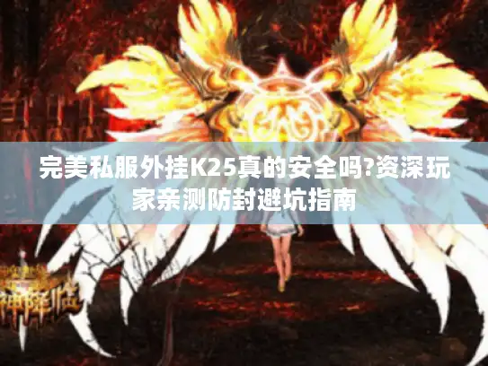 完美私服外挂K25真的安全吗?资深玩家亲测防封避坑指南