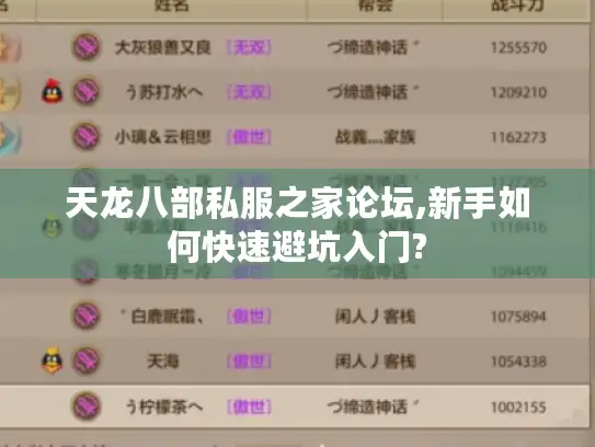 天龙八部私服之家论坛,新手如何快速避坑入门?