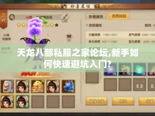 天龙八部私服之家论坛,新手如何快速避坑入门?