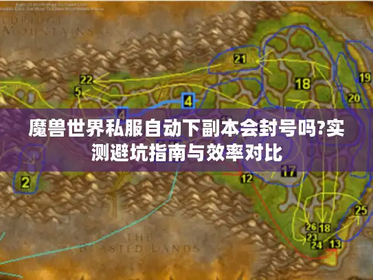 魔兽世界私服自动下副本会封号吗?实测避坑指南与效率对比