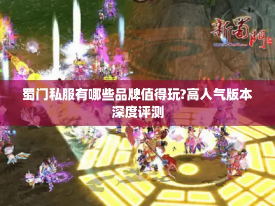 蜀门私服有哪些品牌值得玩?高人气版本深度评测