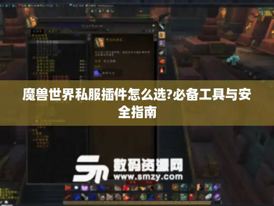 魔兽世界私服插件怎么选?必备工具与安全指南