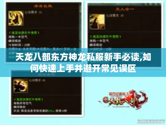 天龙八部东方神龙私服新手必读,如何快速上手并避开常见误区 天龙八部东方神龙私服新手必读,如何快速上手并避开常见误区