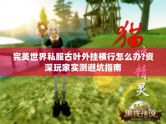 完美世界私服古叶外挂横行怎么办?资深玩家实测避坑指南