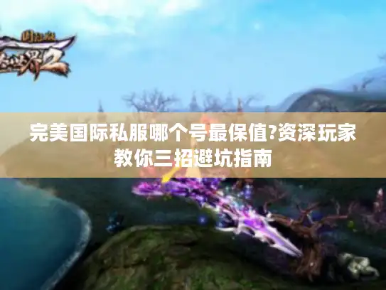 完美国际私服哪个号最保值?资深玩家教你三招避坑指南