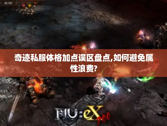 奇迹私服体格加点误区盘点,如何避免属性浪费?