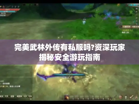 完美武林外传有私服吗?资深玩家揭秘安全游玩指南