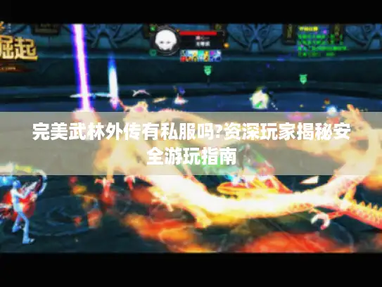 完美武林外传有私服吗?资深玩家揭秘安全游玩指南