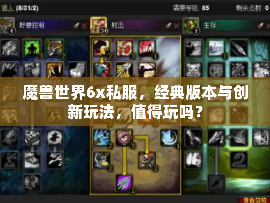 魔兽世界6x私服，经典版本与创新玩法，值得玩吗？