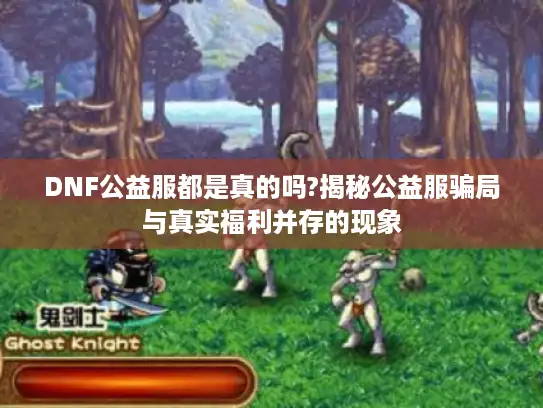 DNF公益服都是真的吗?揭秘公益服骗局与真实福利并存的现象