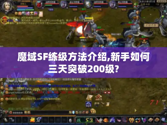 魔域SF练级方法介绍,新手如何三天突破200级?