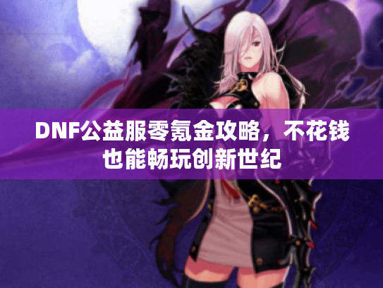 DNF公益服零氪金攻略,不花钱也能畅玩创新世纪 DNF公益服零氪金攻略,不花钱也能畅玩创新世纪